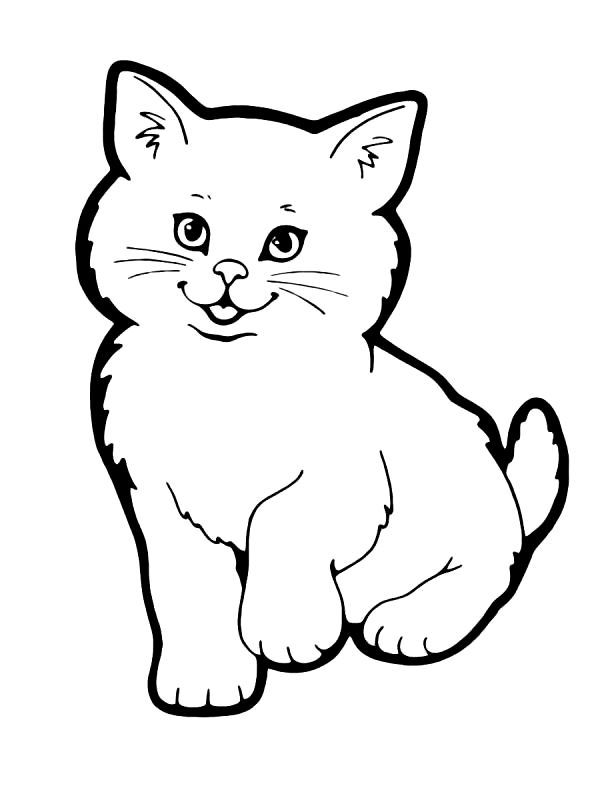 Desene Cu Pisici De Colorat Planșe și Imagini De Colorat Cu Pisici