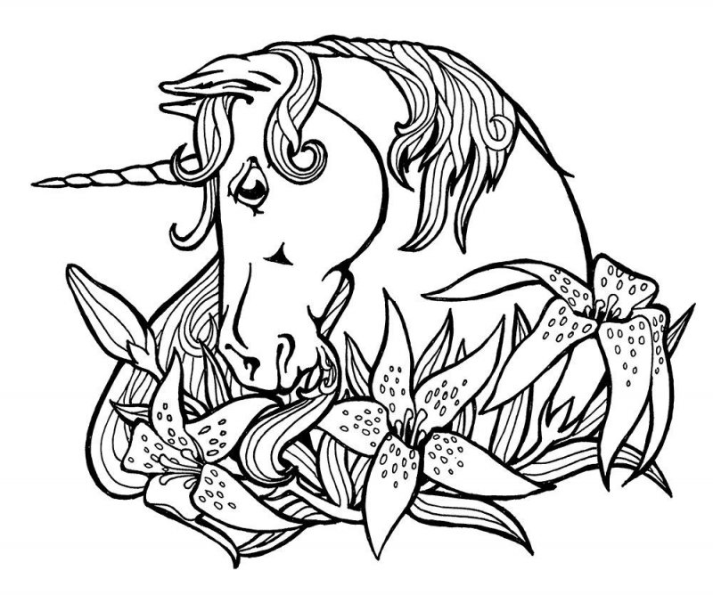 Desene cu Unicorni de colorat, imagini și planșe de