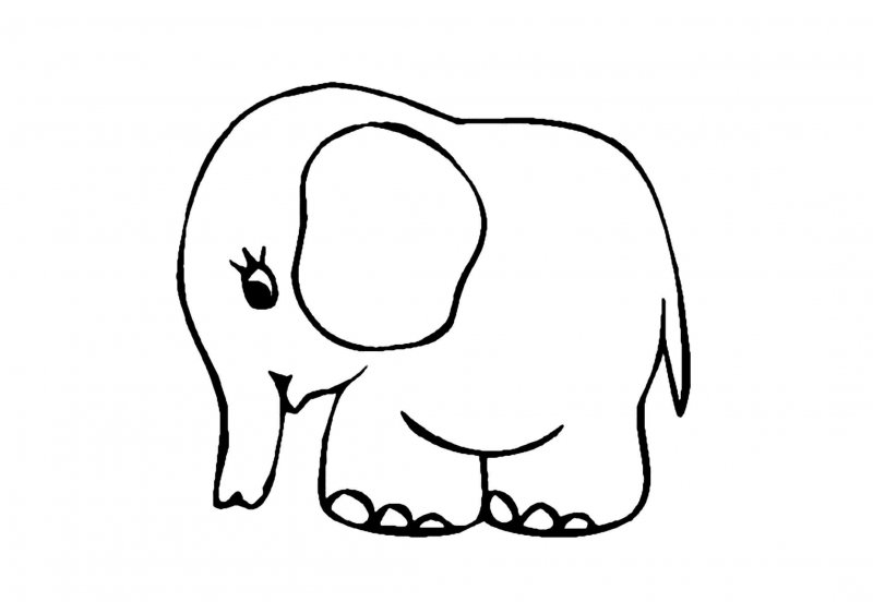 Poze Cu Elefanti Desenati
