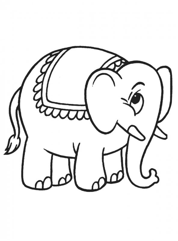 Desene cu Elefanti de colorat, imagini și planșe de