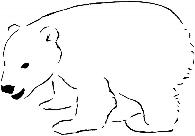 Desene Cu Ursul Polar De Colorat Imagini și Planșe De Colorat Cu Ursul Polar