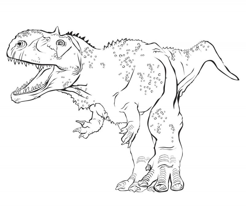 Desene cu Dinozauri de colorat, imagini și planșe de