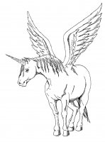Unicorni