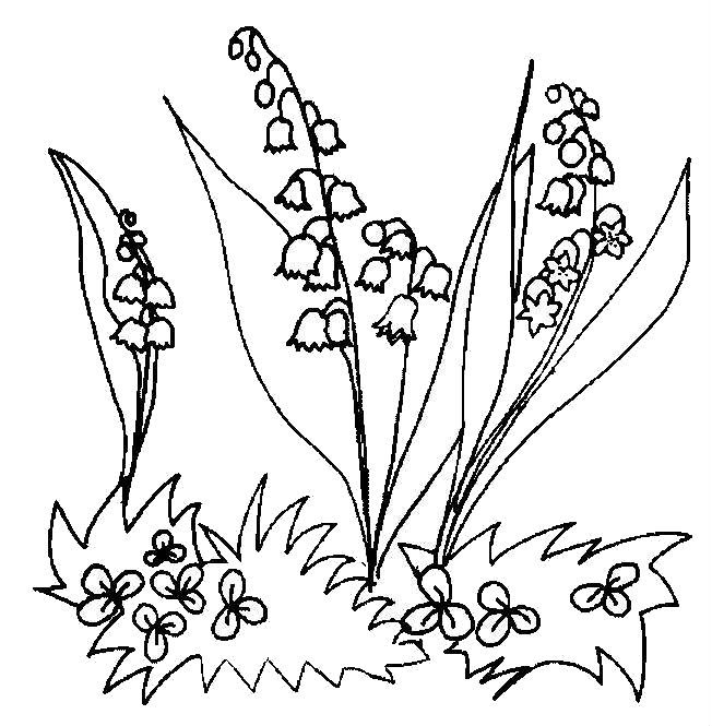 Desene cu Flori de Primavara de colorat, imagini și planșe de colorat cu flori de primavara