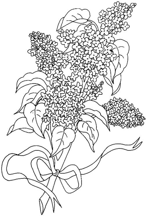 Desene Cu Liliac De Colorat Imagini și Planșe De Colorat Cu Flori De Liliac