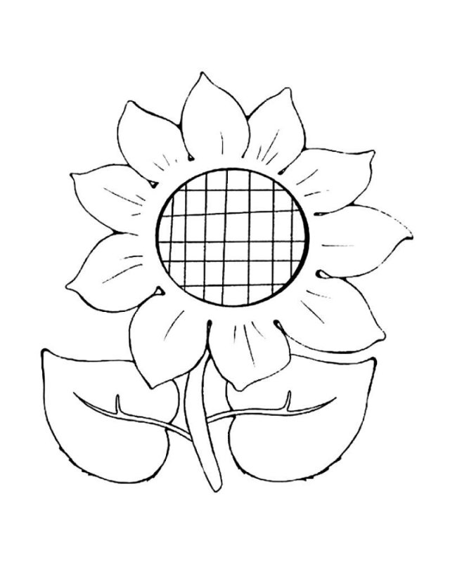 Desene Cu Floarea Soarelui De Colorat Imagini și Planșe De Colorat Cu Floarea Soarelui