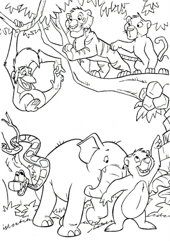 Desene cu Animale din Jungla de colorat, imagini și planșe