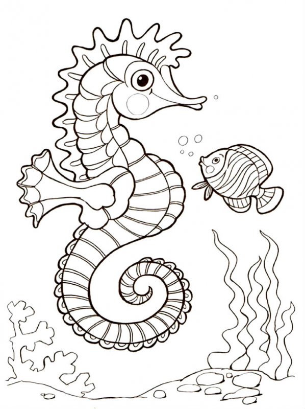 Desene Cu Animale Marine De Colorat, Imagini Și Planșe De Colorat Cu  Vietuitoare Marine