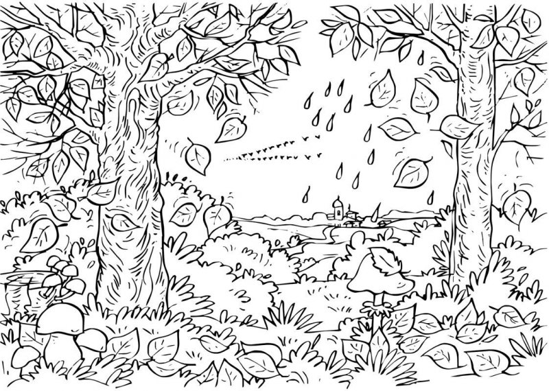 Desene Cu Paduri De Colorat Imagini și Planșe De Colorat Cu Padure