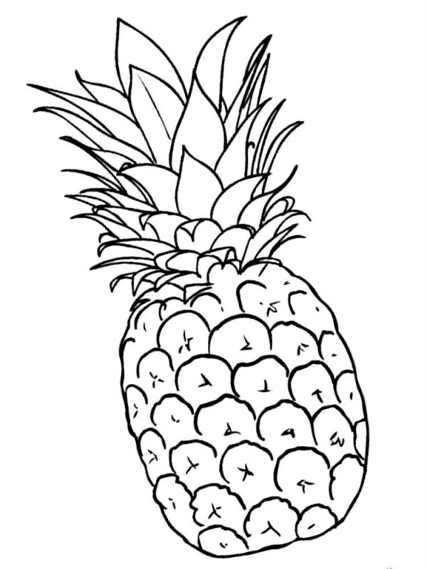 Desene Cu Ananas De Colorat Imagini și Planșe De Colorat Cu Ananas