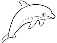 Delfini