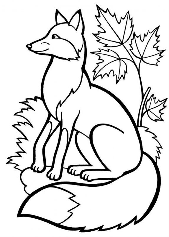 Desene Cu Vulpi De Colorat Imagini și Planșe De Colorat Cu Vulpe